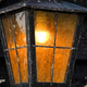 Protasov AN/Shutterstock